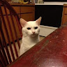 (Category: ) located in . Submitted by dora1713078504 (Listing ID 1413631975, Image 1). Description: .
