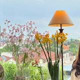 (Kategori: ) berada di . Dikirim oleh prelovedbyporow (ID iklan 1386226574, Gambar 1). Deskripsi: .