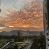 (Category: ) located in . Submitted by qaissaar (Listing ID 1377713196, Image 1). Description: .