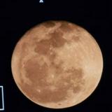 (Kategori: ) berada di . Dikirim oleh sela2700608217 (ID iklan 1375010937, Gambar 1). Deskripsi: .