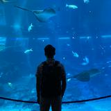 (Category: ) located in . Submitted by shawn.t (Listing ID 1377703845, Image 1). Description: .