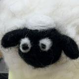 由 tingcs11871267 (刊登 ID 1376844256，圖片 1) 提交，位於 的 (類別：)，說明：。