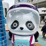 （分類：）位於 。 由 tyson2025 提交（商品編號 1374399546，圖片 1）。簡介： 。