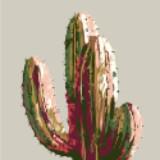(Category: ) located in . Submitted by littlecactus___ (Listing ID 1382047052, Image 1). Description: .