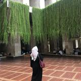 (Kategori: ) berada di . Dikirim oleh lrsks (ID iklan 1385490872, Gambar 1). Deskripsi: .