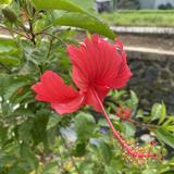 (Kategori: ) berada di . Dikirim oleh prelove.byme0 (ID iklan 1377398406, Gambar 1). Deskripsi: .