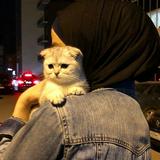 (Kategori: ) berada di . Dikirim oleh prelovedbymaimun (ID iklan 1384467986, Gambar 1). Deskripsi: .