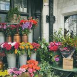 （分類：）位於 。 由 sophieeee4 提交（商品編號 1383274585，圖片 1）。簡介： 。