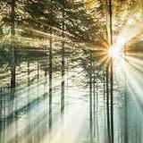 （分類：）位於 。 由 kary.w 提交（商品編號 1213198882，圖片 1）。簡介： 。