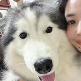 由 a296315 (刊登 ID 1383991936，圖片 1) 提交，位於 的 (類別：)，說明：。