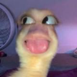 (Category: ) located in . Submitted by lilyaffltxx (Listing ID 1378809535, Image 1). Description: .