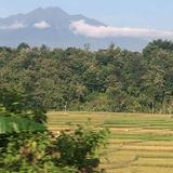 (Kategori: ) berada di . Dikirim oleh ahoneyysuu (ID iklan 1378795716, Gambar 1). Deskripsi: .