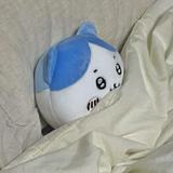 (Category: ) located in . Submitted by cockatiel (Listing ID 1368065915, Image 1). Description: .