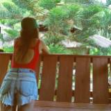 (Category: ) located in . Submitted by pursemania (Listing ID 1383805007, Image 1). Description: .