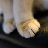 techjunkieeeee avatar