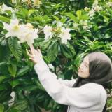 (Kategori: ) berada di . Dikirim oleh fleureky (ID iklan 1378860108, Gambar 1). Deskripsi: .