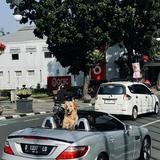 (Kategori: ) berada di . Dikirim oleh hawaywho (ID iklan 1383293860, Gambar 1). Deskripsi: .