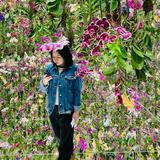 （分類：）位於 。 由 jennyyyxxxxx 提交（商品編號 1378978622，圖片 1）。簡介： 。