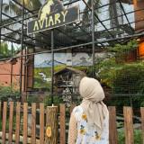 (Kategori: ) berada di . Dikirim oleh lemarievaa (ID iklan 1382046494, Gambar 1). Deskripsi: .