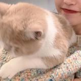 由 mariacoyia51743 (刊登 ID 1383938934，圖片 1) 提交，位於 的 (類別：)，說明：。