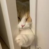 (Category: ) located in . Submitted by plshesitatetocontact (Listing ID 1378480424, Image 1). Description: .