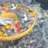 (Category: ) located in . Submitted by happy.bakery.baby (Listing ID 1213398451, Image 1). Description: .