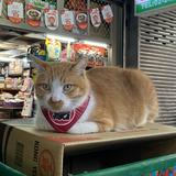 頭像