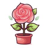 (Kategori: ) berada di . Dikirim oleh prelovemawar (ID iklan 1378797970, Gambar 1). Deskripsi: .