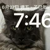 (分類:)位於 。 由 sg21314886 提交(商品編號 1441933485,圖片 1)。簡介: 。