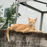 (Kategori: ) berada di . Dikirim oleh cantsleepwell (ID iklan 1381649289, Gambar 1). Deskripsi: .