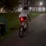 (Category: ) located in . Submitted by vvvvvvvvvvvy (Listing ID 1378116189, Image 1). Description: .