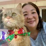 (Category: ) located in . Submitted by yololab36879001 (Listing ID 1378604551, Image 1). Description: .