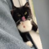 (Category: ) located in . Submitted by rain_ace_astro (Listing ID 1381051694, Image 1). Description: .