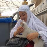 (Kategori: ) berada di . Dikirim oleh rejekiantikan (ID iklan 1378298665, Gambar 1). Deskripsi: .