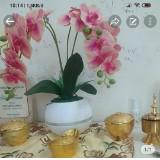 (Kategori: ) berada di . Dikirim oleh rinaprelove (ID iklan 1328704212, Gambar 1). Deskripsi: .
