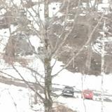 (Category: ) located in . Submitted by scgrin (Listing ID 1374697258, Image 1). Description: .