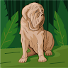 (Category: ) located in . Submitted by sa_poke (Listing ID 1465069629, Image 1). Description: .