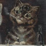 (Kategori: ) berada di . Dikirim oleh adoptedthings (ID iklan 1173127066, Gambar 1). Deskripsi: .
