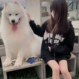 由 aa890827 (刊登 ID 1378419218，圖片 1) 提交，位於 的 (類別：)，說明：。