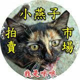 由 frog155801748 (刊登 ID 1381807356，圖片 1) 提交，位於 的 (類別：)，說明：。