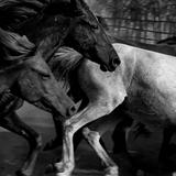 (Category: ) located in . Submitted by shincar2025 (Listing ID 1382885509, Image 1). Description: .