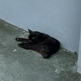 (Category: ) located in . Submitted by timc.58 (Listing ID 1377855202, Image 1). Description: .