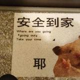 由 tttttttli_ (刊登 ID 1379117666，圖片 1) 提交，位於 的 (類別：)，說明：。