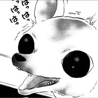 由 shmily120433 (刊登 ID 1380280147，圖片 1) 提交，位於 的 (類別：)，說明：。