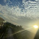 (Category: ) located in . Submitted by 808jason (Listing ID 1379434218, Image 1). Description: .