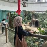 (Category: ) located in . Submitted by ffablqis (Listing ID 1384797914, Image 1). Description: .