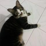 (Kategori: ) berada di . Dikirim oleh prelovedbyrcw (ID iklan 1333870238, Gambar 1). Deskripsi: .