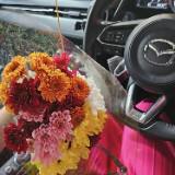 (Kategori: ) berada di . Dikirim oleh prelovedfebe (ID iklan 1385766054, Gambar 1). Deskripsi: .