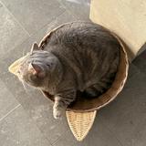 (Category: ) located in . Submitted by burrzarr (Listing ID 1383791040, Image 1). Description: .