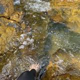 (Category: ) located in . Submitted by dizzz_ (Listing ID 1458158435, Image 1). Description: .